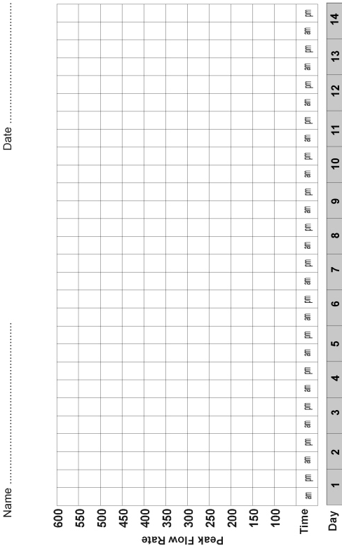 Journal du débit de pointe à imprimer