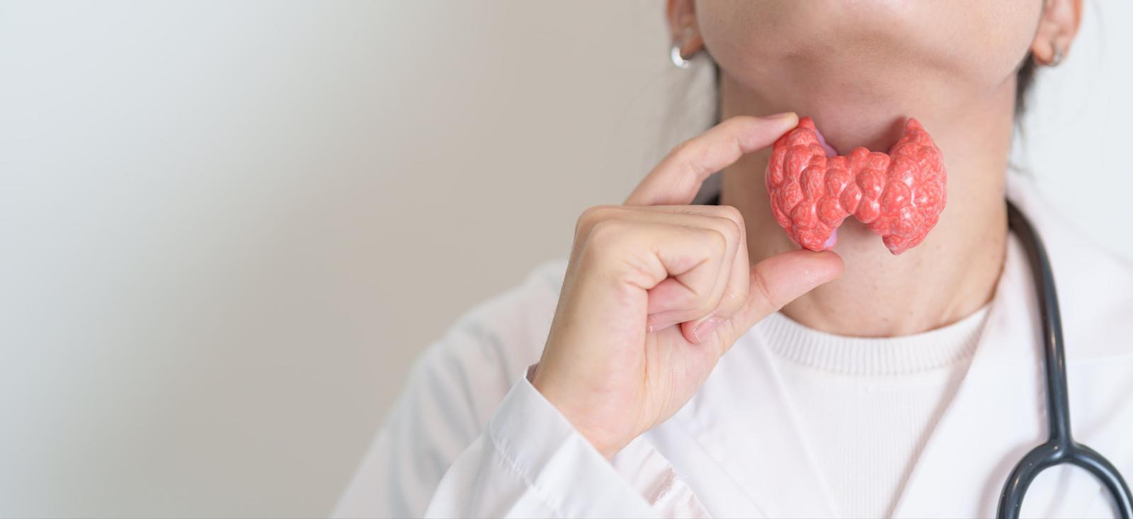 Une femme médecin tenant un modèle de glande thyroïde contre son cou, stéthoscope visible.