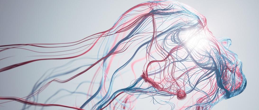 Illustration artistique abstraite de lignes rouges et bleues fluides formant une silhouette de profil sur un fond clair.