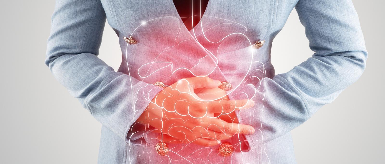 Illustration des organes internes sur le corps d'une femme sur fond gris. Femme d'affaires touchant l'estomac douloureux souffrant d'entérite. Organes internes du corps humain.