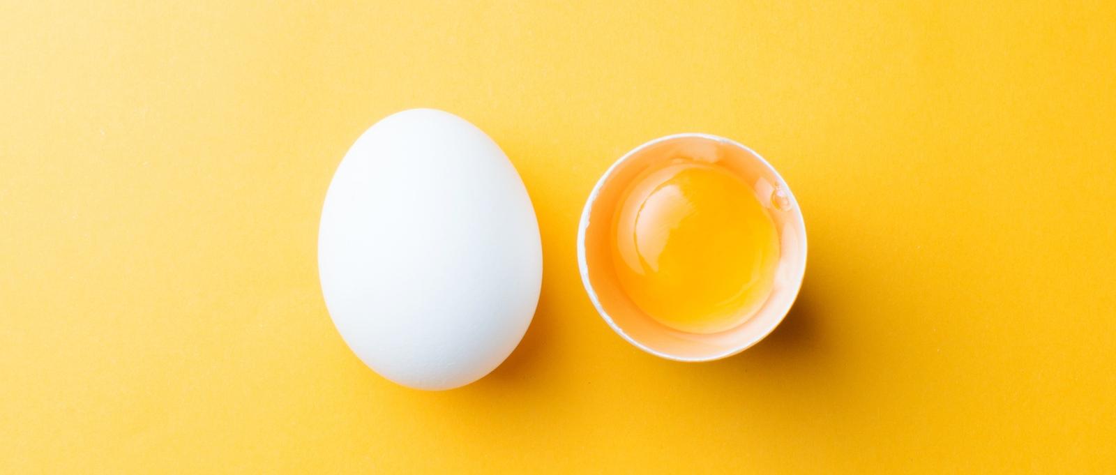 Œuf blanc et jaune d'œuf sur fond jaune.