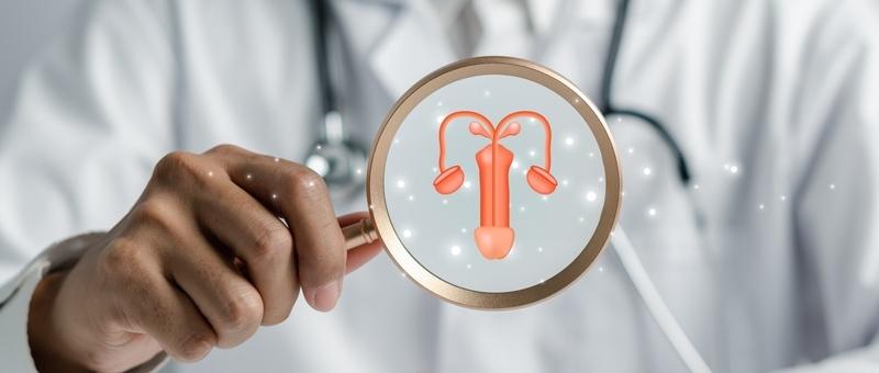 Professionnel de la santé tenant une loupe montrant une illustration de l'appareil reproducteur féminin avec l'utérus et les ovaires.