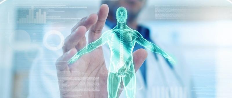 Main interagissant avec un écran holographique d'anatomie humaine turquoise montrant les systèmes squelettique et musculaire.