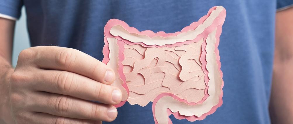 Concept de digestion saine, probiotiques et prébiotiques pour le microbiome intestinal