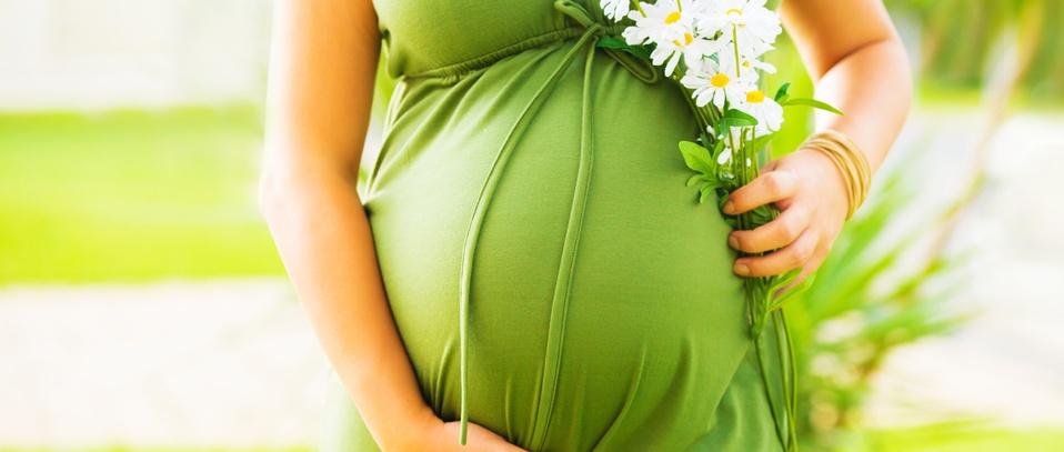 Femme enceinte en robe verte tenant des marguerites blanches contre son ventre dans un cadre extérieur ensoleillé.
