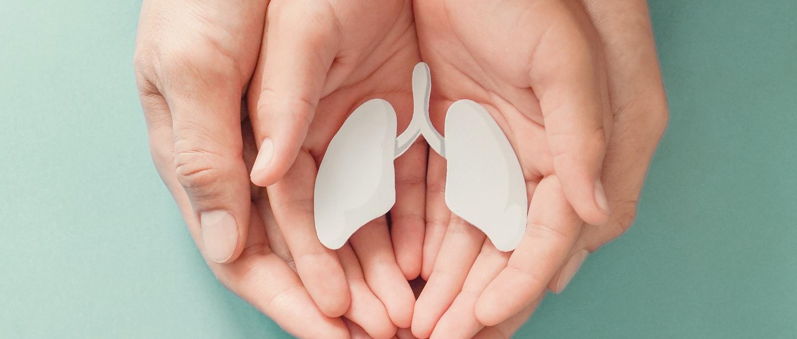 A pair of hands holding a cardboard cutout of lungs.