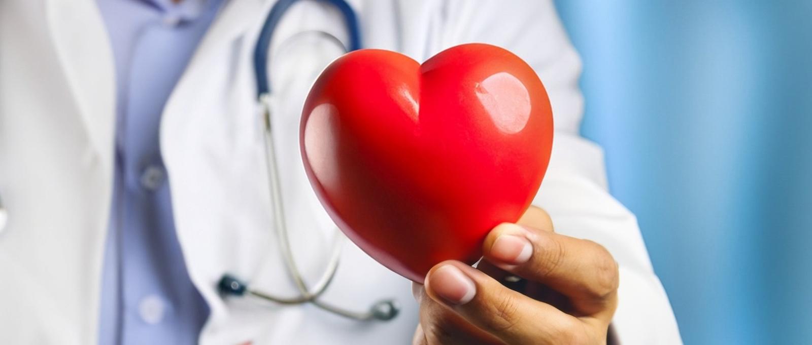 Médecin tenant un cœur rouge dans la main.