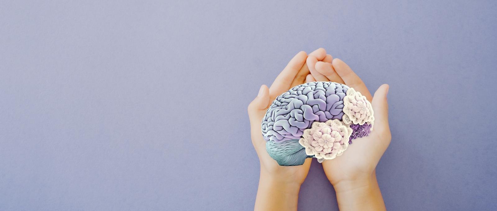 Hands gently holding a model of a human brain with purple and white details against a soft lavender background.