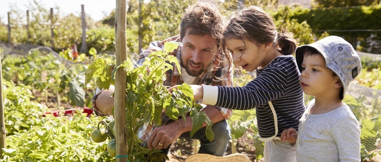 cultiver sa propre nourriture