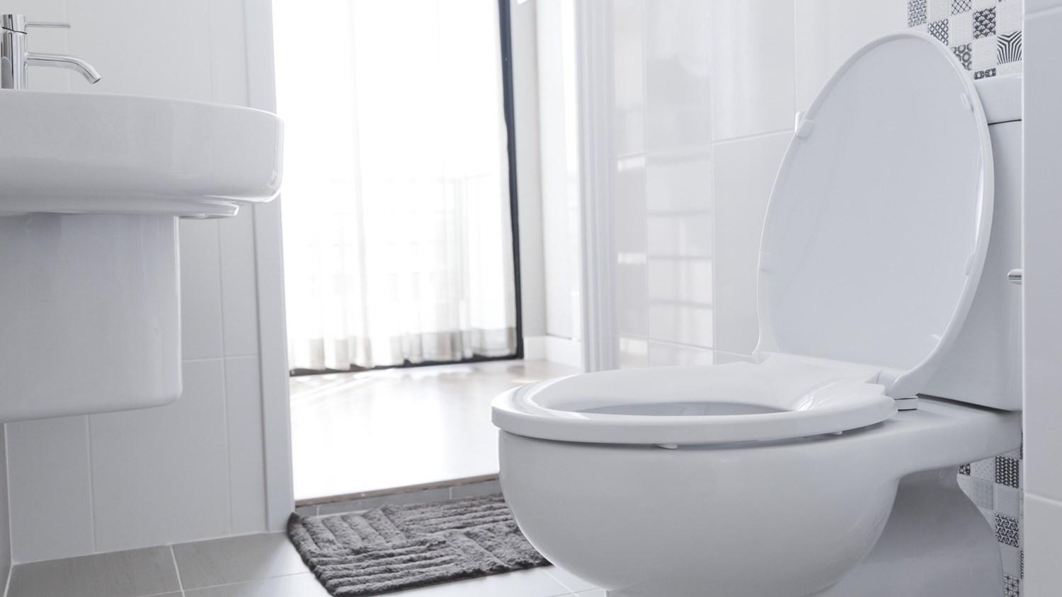 Toilettes