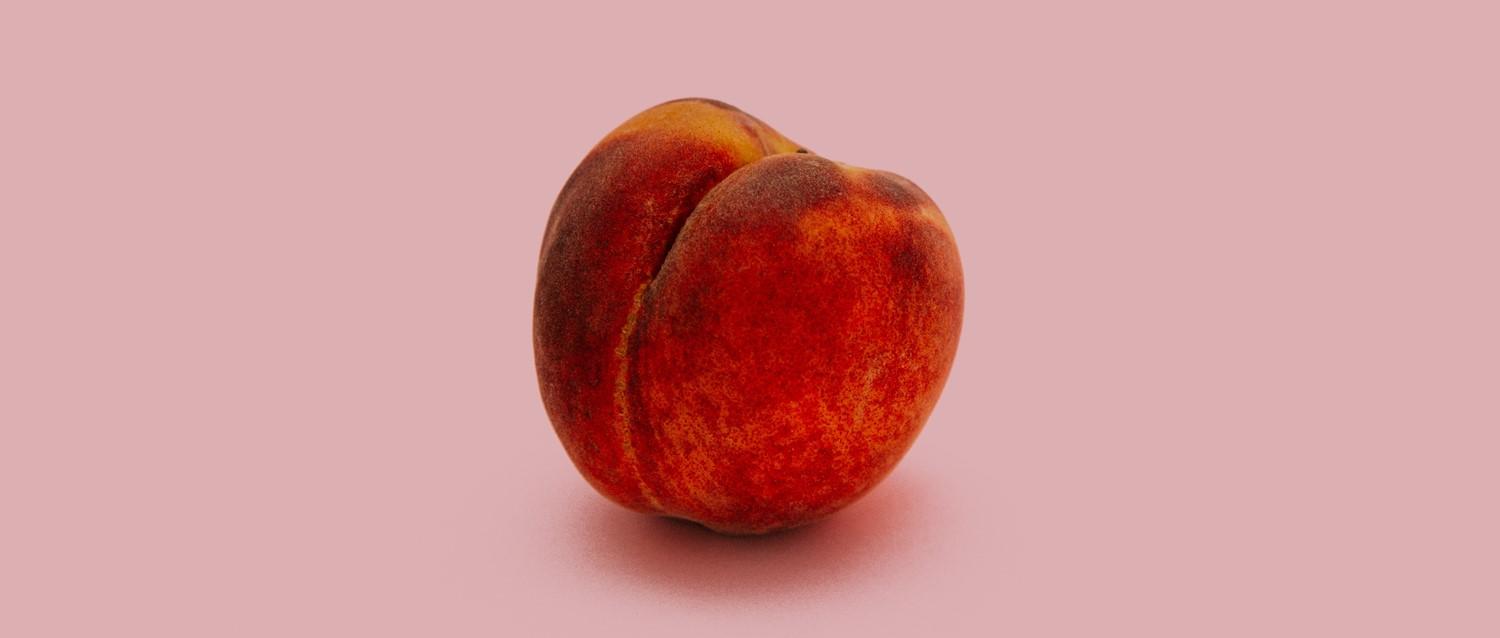 pêche