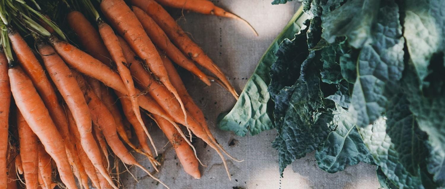 Des carottes orange fraîches aux fanes vertes côtoient du chou frisé à feuilles foncées sur une surface en tissu léger.