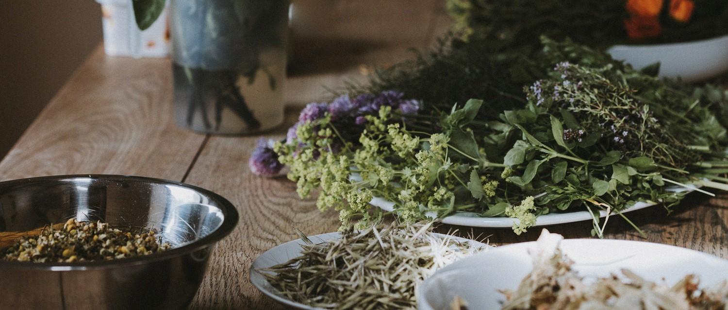 remèdes à base de plantes