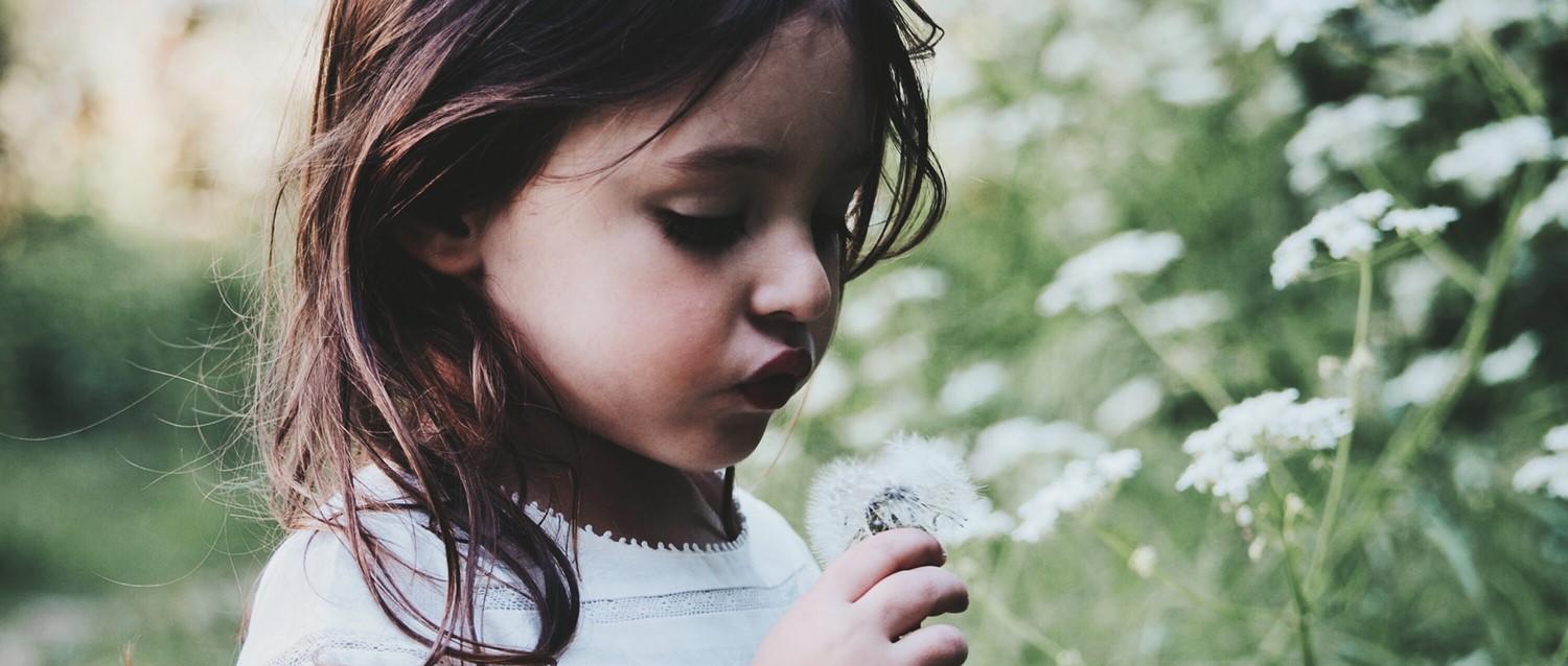 Jeune enfant aux cheveux noirs tenant une graine de pissenlit dans une prairie avec des fleurs sauvages blanches en arrière-plan.