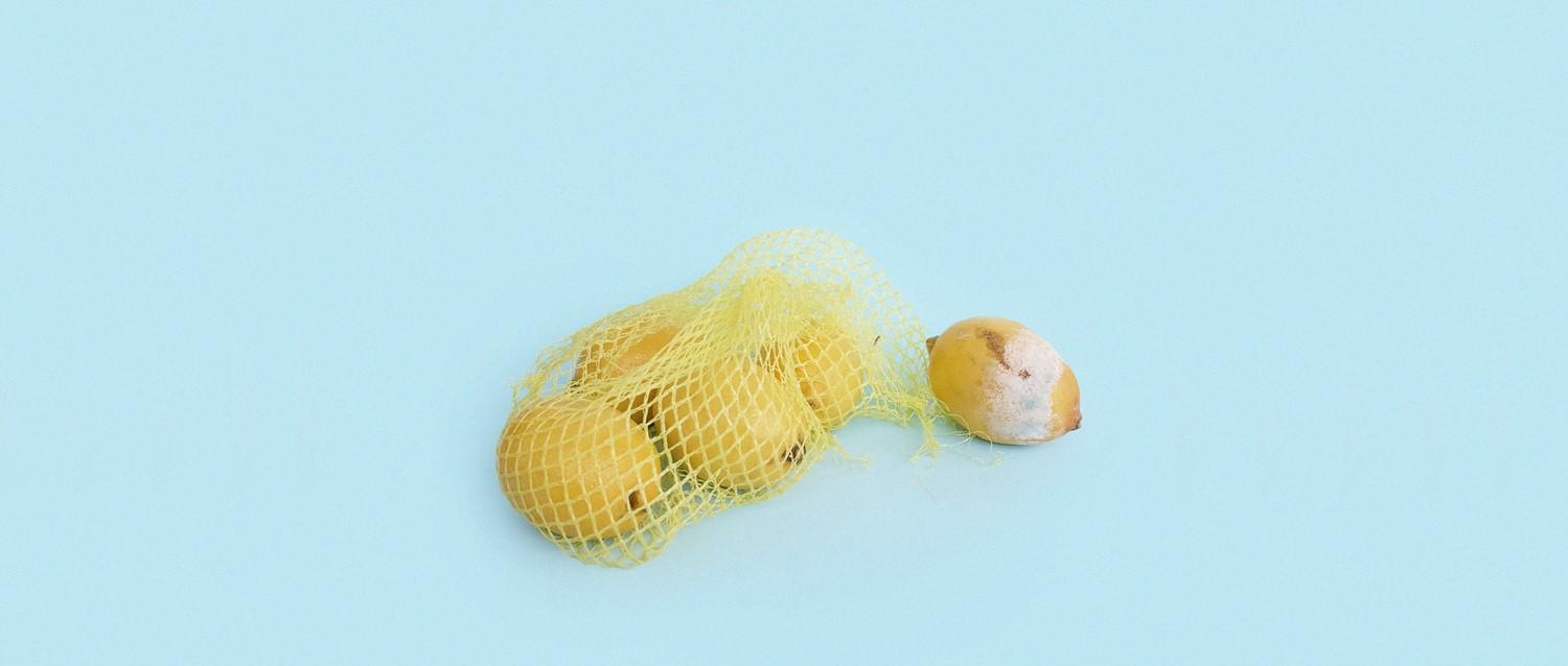 Image de l'article en vedette