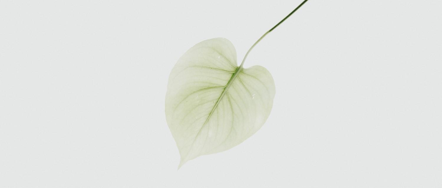 Cancer gynécologique