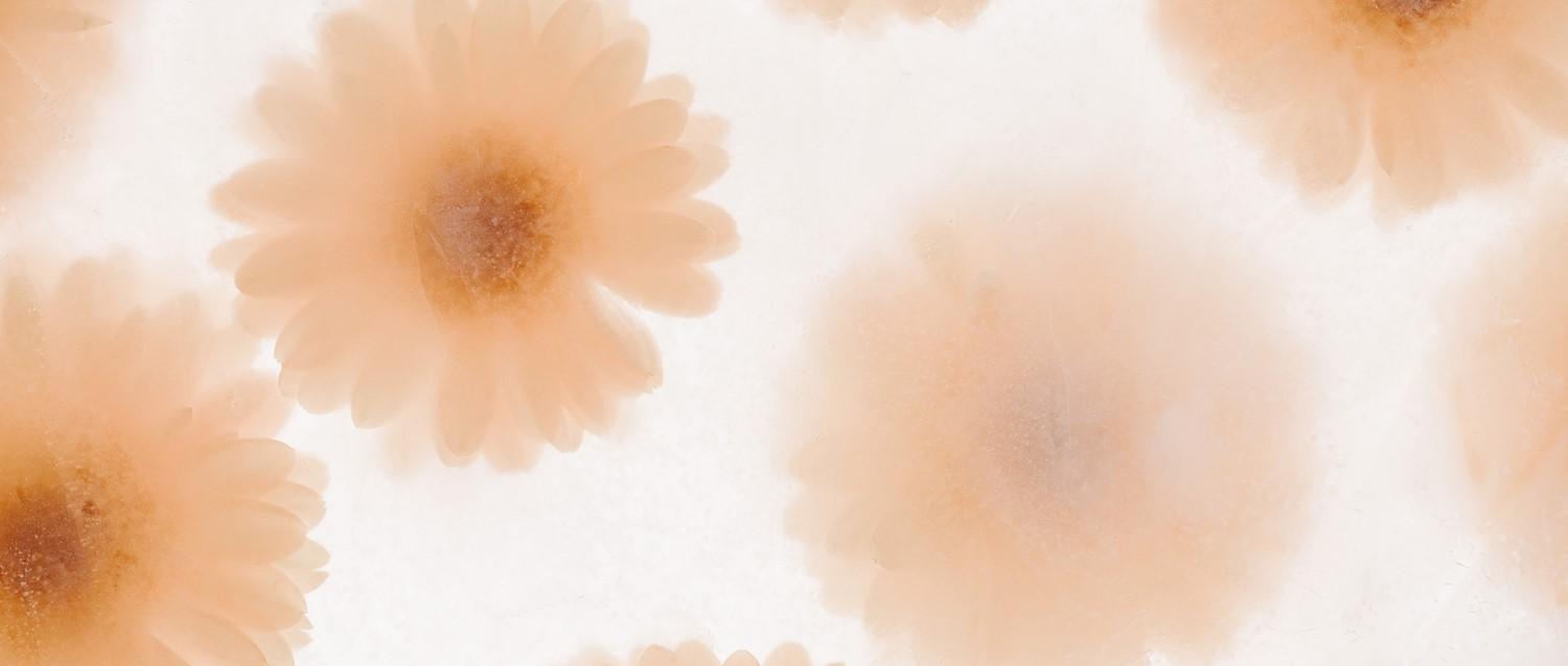 Image de l'article en vedette