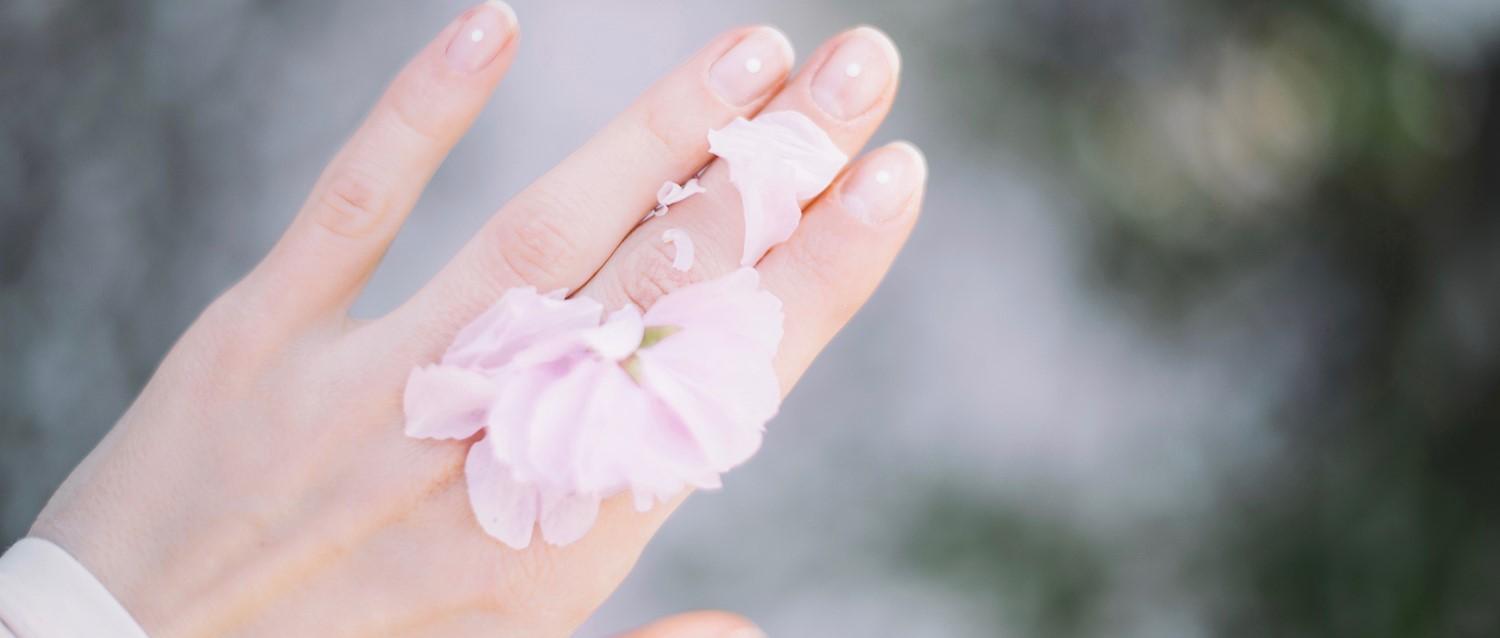 Image de l'article en vedette