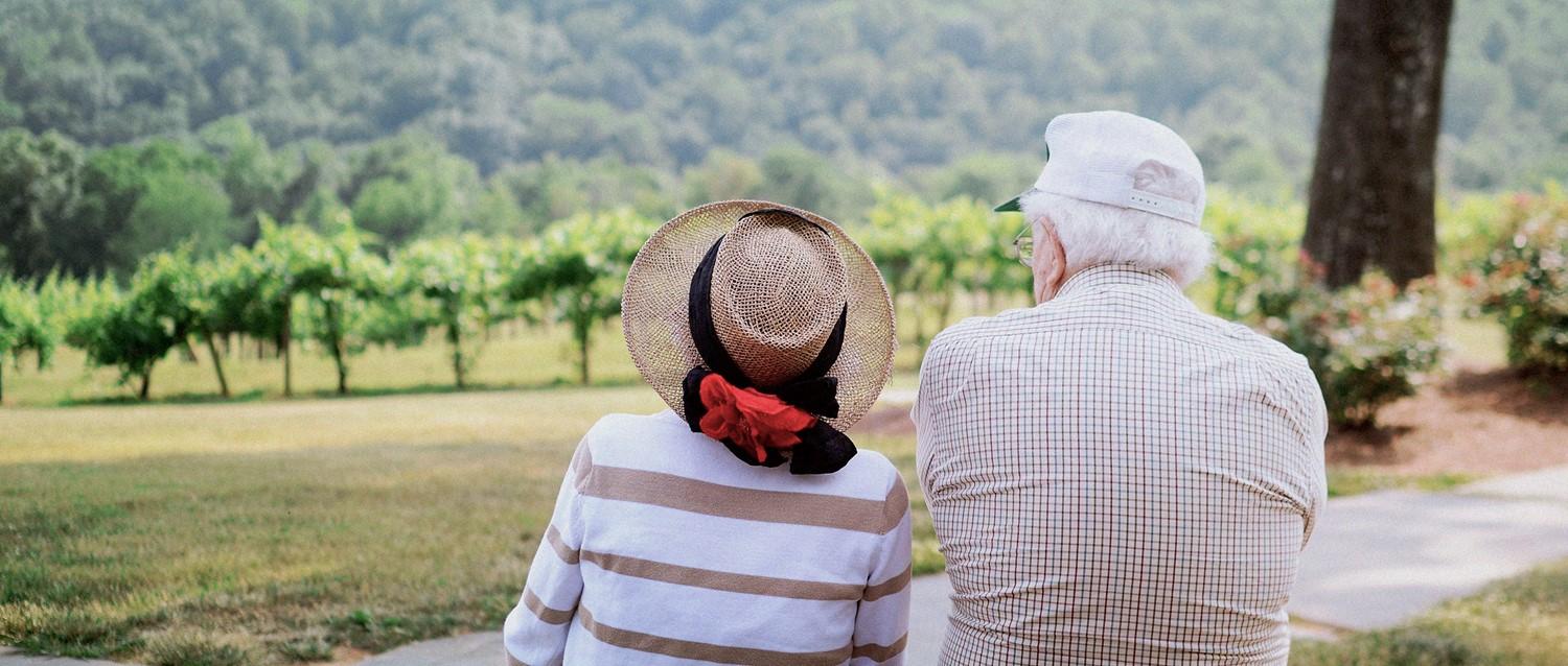 Couple de personnes âgées de dos, surplombant un paysage de vignes ; l'un portant un chapeau de paille avec une fleur rouge, l'autre une casquette blanche.