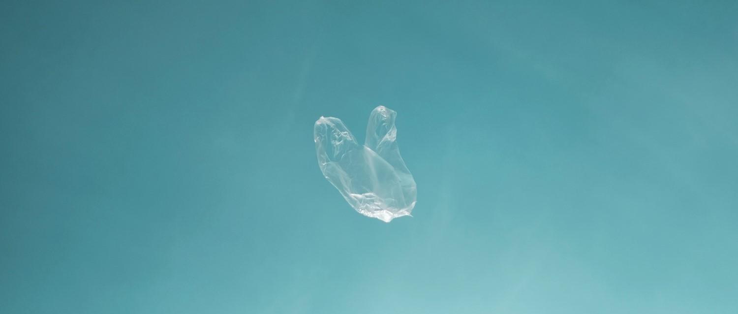 effets des microplastiques sur l'homme