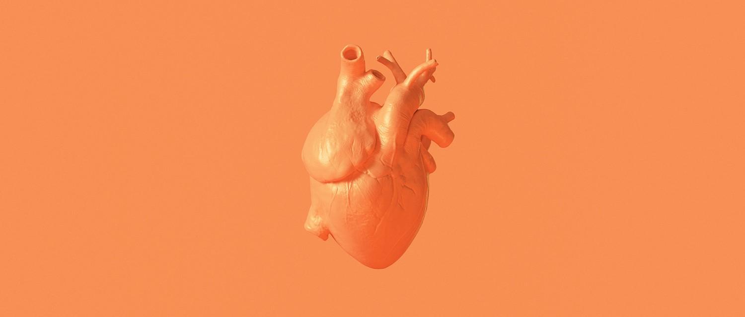 Image de l'article en vedette