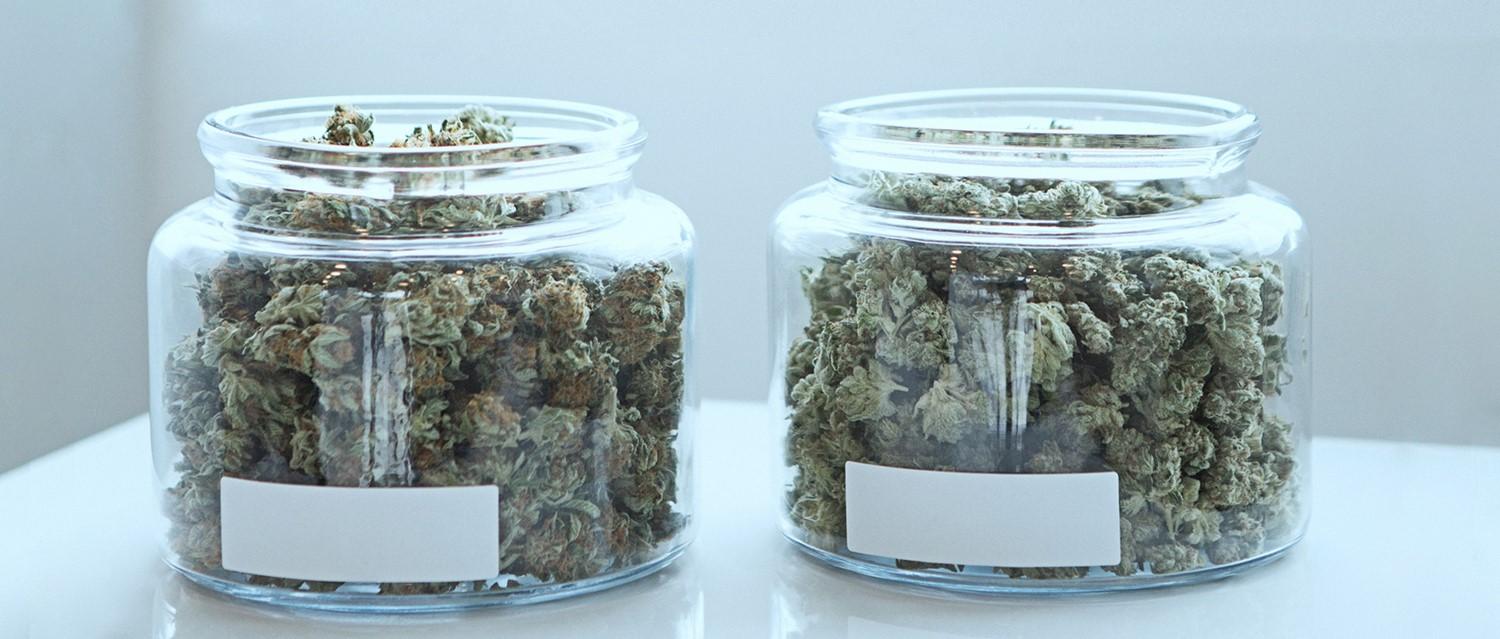 medical cannabis