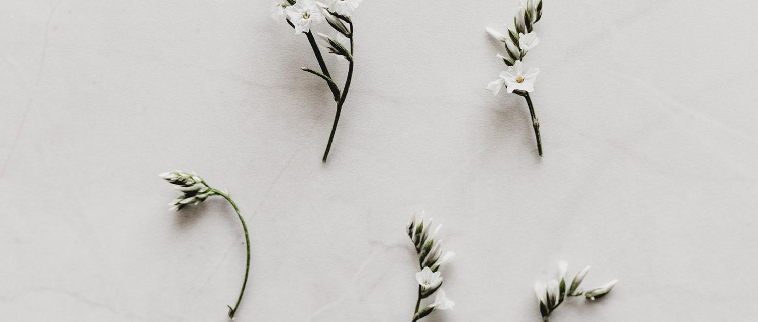 Les tests ADN sont-ils une bonne idée ?