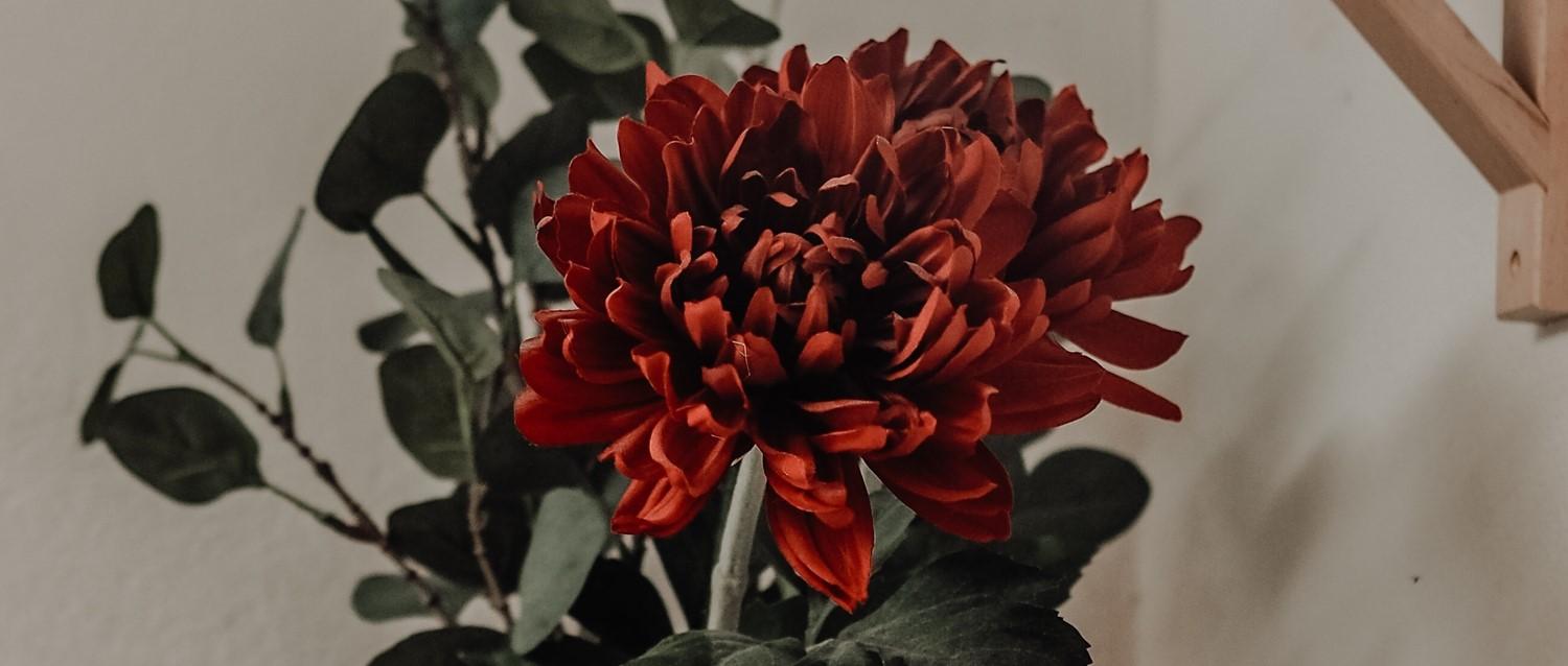 Les analyses de sang peuvent-elles aider à gérer la ménopause et le THS ?