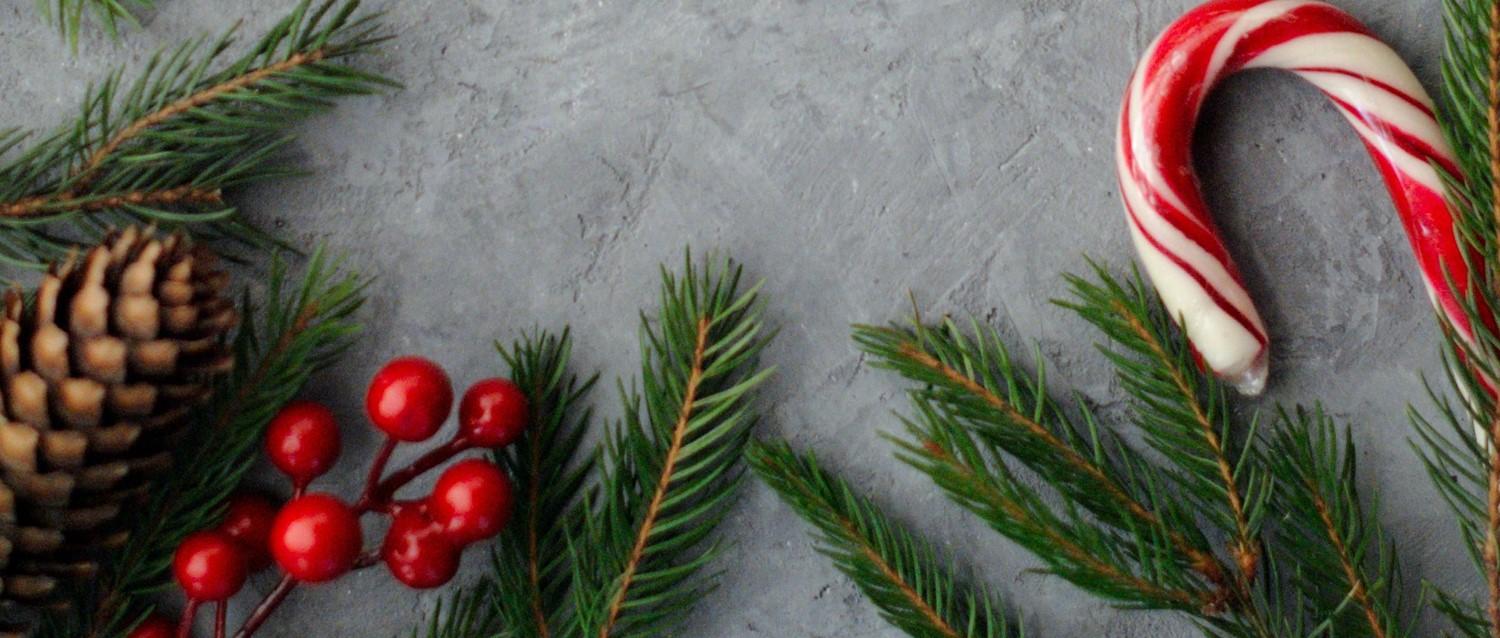 Comment faire face au "syndrome du nid vide" à Noël ?