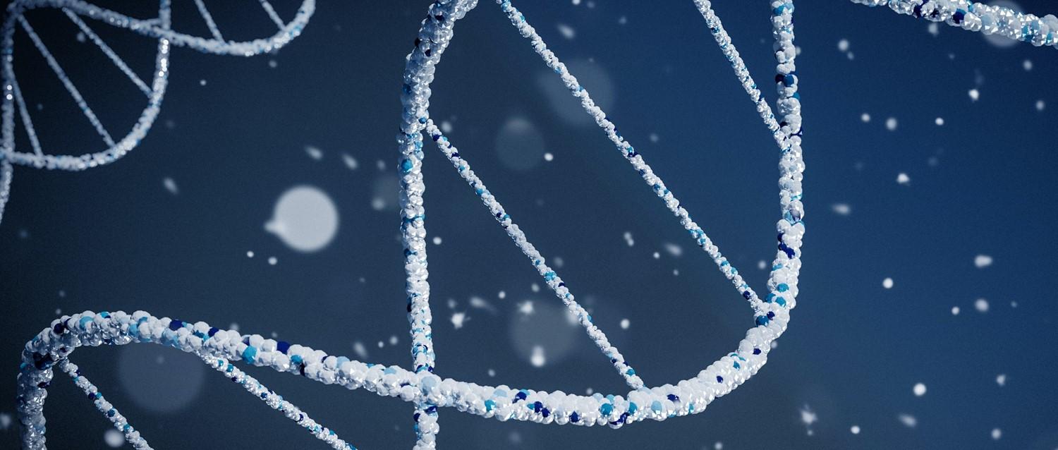 Quelle est l'importance de la génétique dans la cardiomyopathie ?