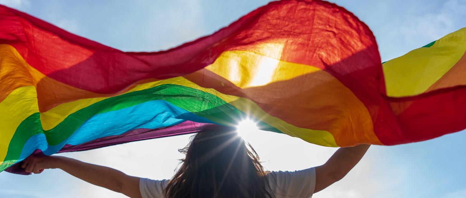 Quels dommages la thérapie de conversion peut-elle causer et pourquoi n'est-elle pas interdite ?