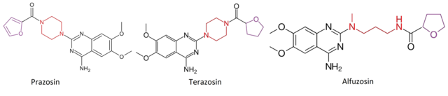 Image de l'article en vedette