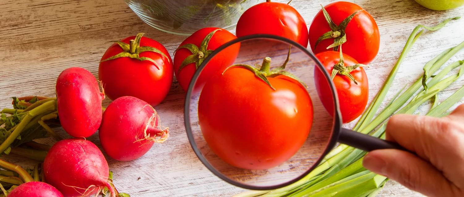 Les pesticides sont-ils nocifs pour l'homme ?