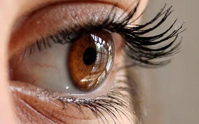 Rétinopathie diabétique