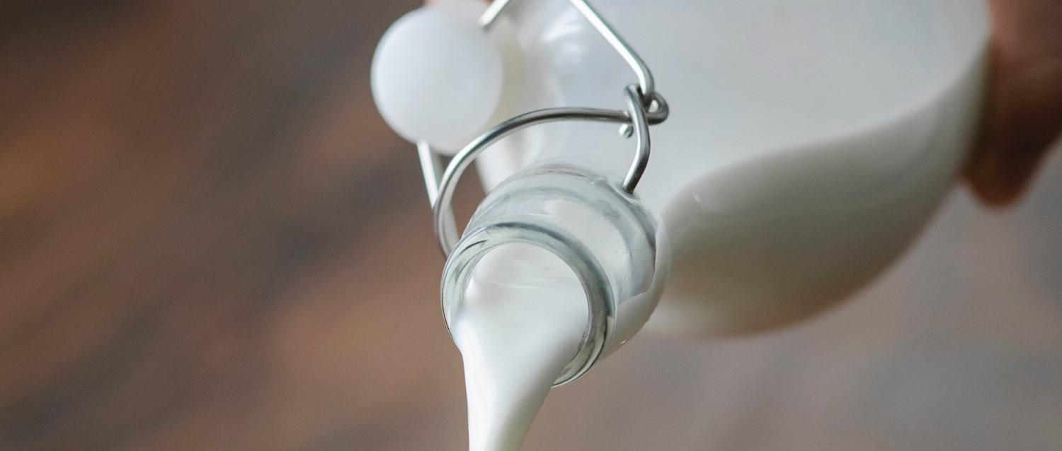Allergie au lait de vache : Qu'est-ce que l'échelle du lait chez l'enfant ?