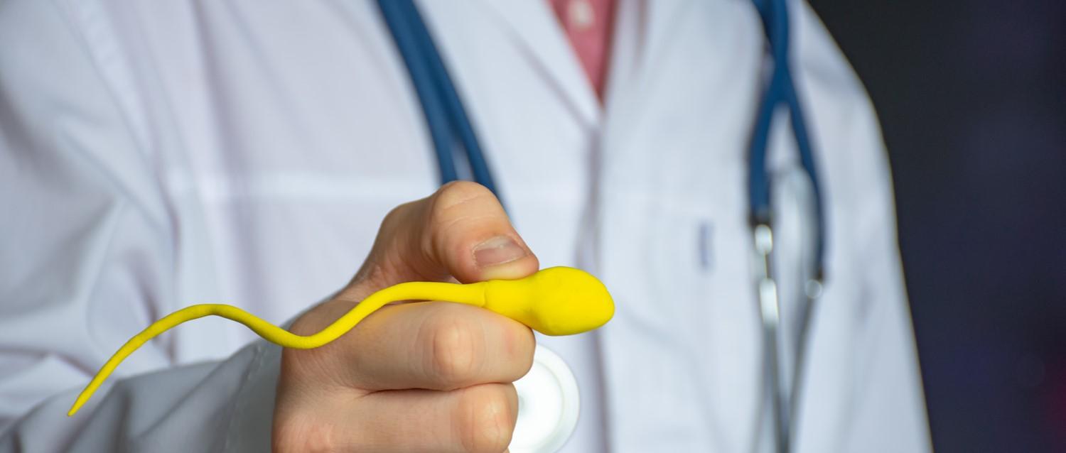 infertilité masculine