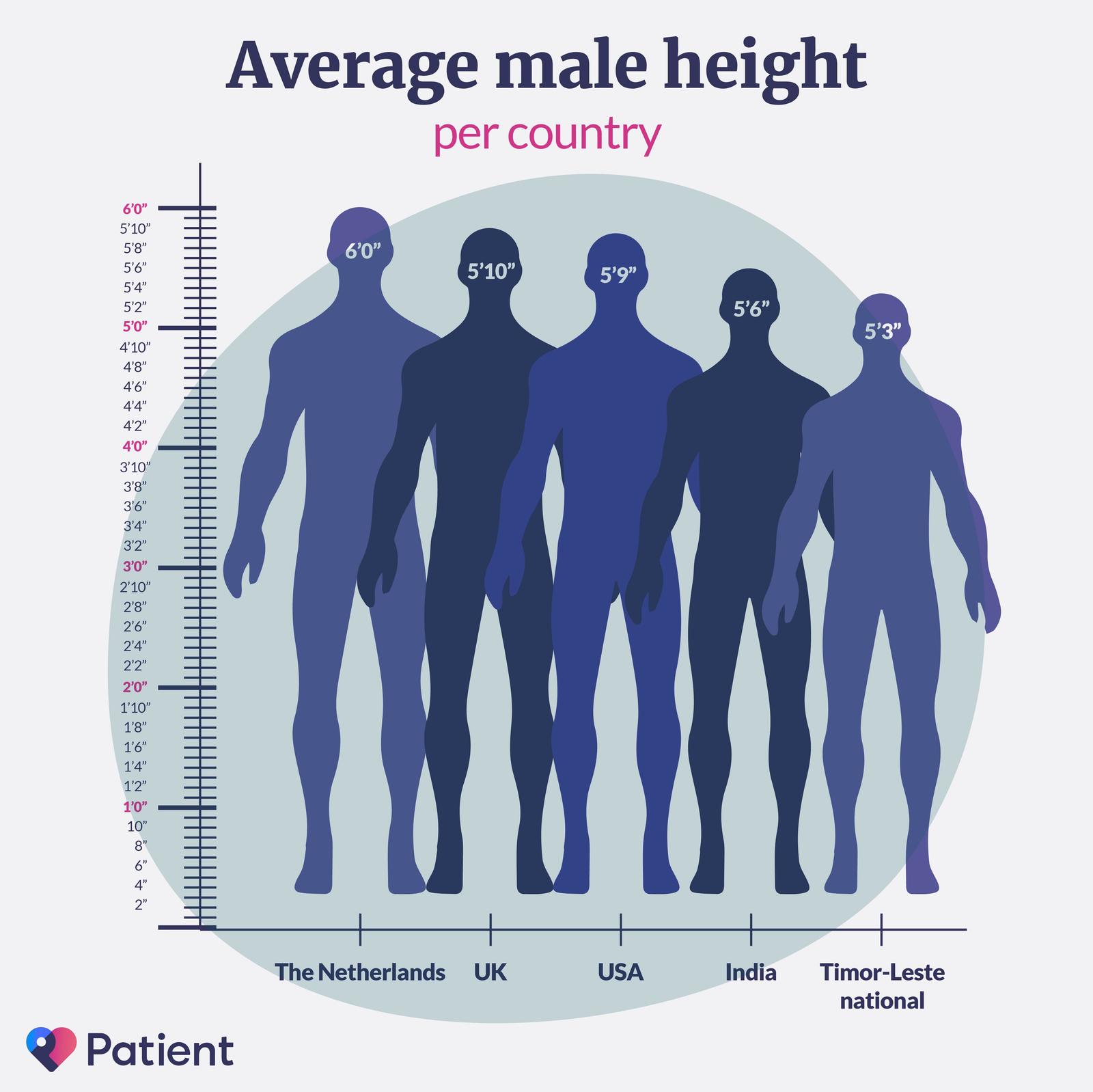 Taille moyenne des hommes